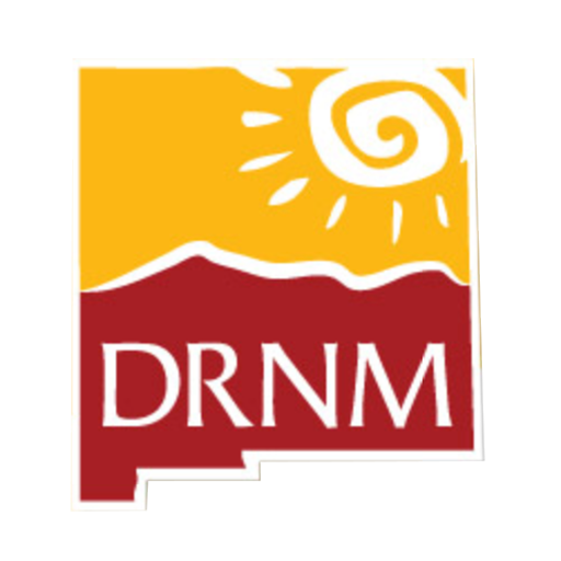 DRNM Survey of Areas of Focus for Upcoming Year